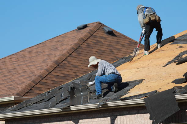 Best Skylight Installation and Repair  in Sandoval, IL